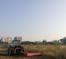 Malciranje-zarasle-livade2